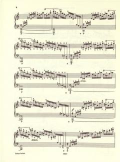 Etüden von Frédéric Chopin für Klavier im Alle Noten Shop kaufen