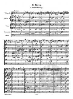 2 elegische Melodien op. 34 von Edvard Grieg für Streichorchester im Alle Noten Shop kaufen (Partitur)