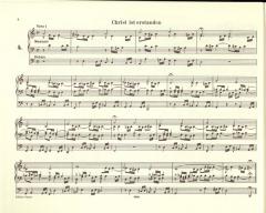 Orgelwerke Band 5 von Johann Sebastian Bach im Alle Noten Shop kaufen - EP244