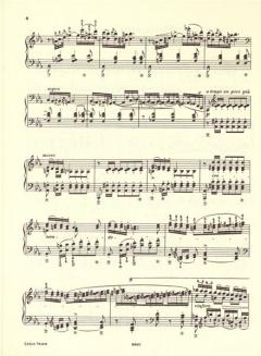 Klavierwerke Band 5 von Franz Liszt im Alle Noten Shop kaufen