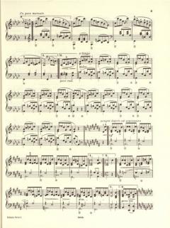 Klavierwerke Band 10: Bearbeitungen von Franz Liszt im Alle Noten Shop kaufen