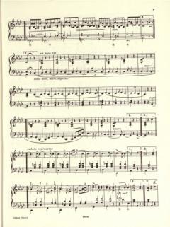Klavierwerke Band 10: Bearbeitungen von Franz Liszt im Alle Noten Shop kaufen