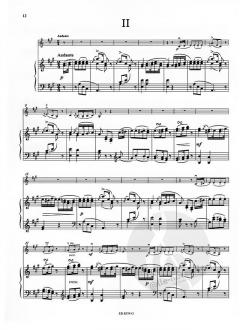 Sonatine D-Dur, op. 137, Nr. 1 von Franz Schubert für Violine und Klavier im Alle Noten Shop kaufen