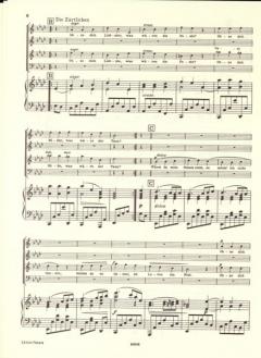 Quartette op. 31, 64, 92, 112/1,2 von Johannes Brahms 