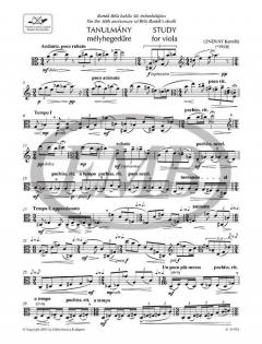 Study von Kamillo Lendvay 