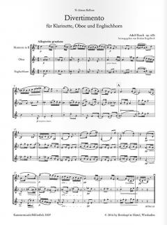 Divertimento op. 62b von Adolf Busch für Klarinette, Oboe und Englischhorn im Alle Noten Shop kaufen