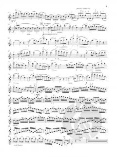 Concerto No. 1 a-Moll von Jean-Baptiste Accolay 