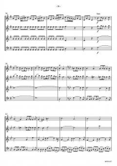 Concerto Op. 8, 1 'Frühling' (RV 269) (Antonio Vivaldi) 