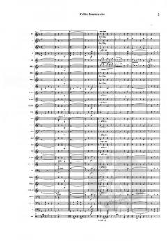Celtic Impressions (Michael Kotay) 