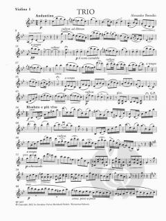 Trio in g-moll von Alexander Borodin für zwei Violinen und Violoncello (1855) im Alle Noten Shop kaufen