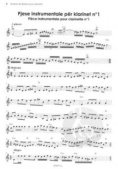 Musique des Balkans von Gjovalin Nonaj 