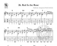 Irish Guitar Tunes - Songs, Jigs, Reels, Polkas und Hornpipes von Patrick Steinbach 