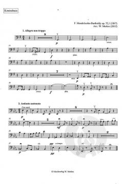Mendelssohn-Suite 1 von Felix Mendelssohn Bartholdy für Streichorchester im Alle Noten Shop kaufen (Einzelstimme)