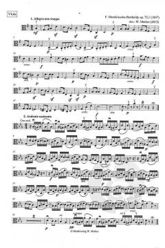 Mendelssohn-Suite 1 von Felix Mendelssohn Bartholdy für Streichorchester im Alle Noten Shop kaufen (Einzelstimme) - MWM40-019VA