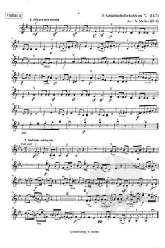 Mendelssohn-Suite 1 von Felix Mendelssohn Bartholdy für Streichorchester im Alle Noten Shop kaufen (Einzelstimme) - MWM40-019VL2