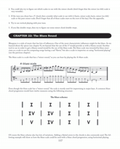 The Mandolin Picker's Guide To Bluegrass Improvisation im Alle Noten Shop kaufen