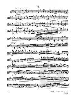10 Viola-Studien op. 49 von Johannes Palaschko für vorgerückte Spieler im Alle Noten Shop kaufen