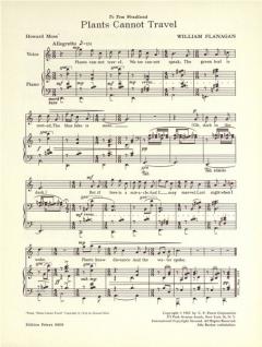 2 Songs von William Flanagan 