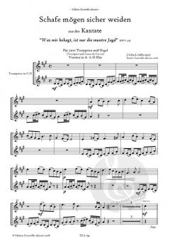 Schafe mögen sicher weiden von Johann Sebastian Bach 