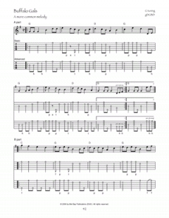 Old-Time Festival Tunes For Clawhammer Banjo von Dan Levenson im Alle Noten Shop kaufen - MB20313M