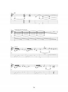 The Encyclopedia Of Acoustic Lap Steel Guitar Solo von Fernando Perez 