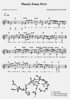 You Can Teach Yourself Hammered Dulcimer von Madeline MacNeil 