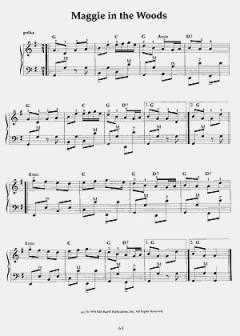 100 Irish Tunes for Piano Accordion von David DiGiuseppe 