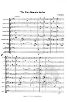 The Blue Danube Waltz von Johann Strauss (Sohn) 
