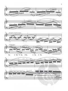 Chaconne aus der Partita Nr. 2 d-moll von Johann Sebastian Bach 