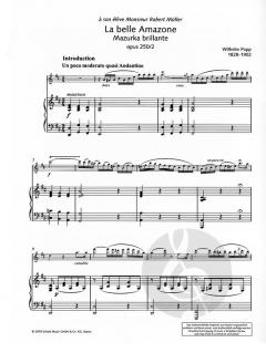 La belle Amazone op. 250/2 von Wilhelm Popp 