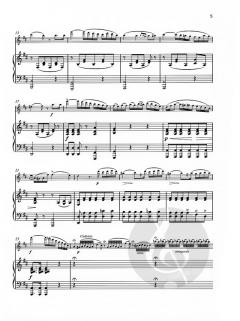 La belle Amazone op. 250/2 von Wilhelm Popp 