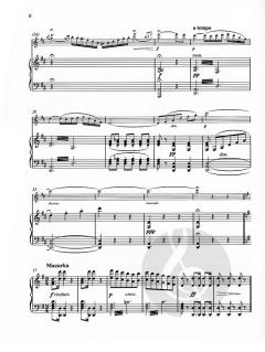La belle Amazone op. 250/2 von Wilhelm Popp 