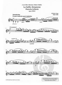 La belle Amazone op. 250/2 von Wilhelm Popp 