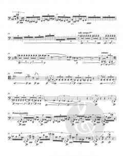 ucelli e ucelletti (Manfred Trojahn) 