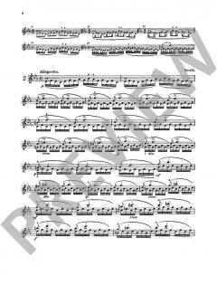 Les Maitres du Violon 10 von Mathieu Crickboom 