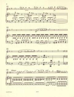 Sonate in C-Dur von Gaetano Donizetti für Flöte und Orchester im Alle Noten Shop kaufen