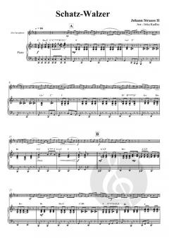 Schatz-Walzer  von Johann Strauss (Sohn) 