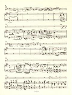 Romanzen op. 40 und op. 50 von Ludwig van Beethoven für Violine und Orchester im Alle Noten Shop kaufen