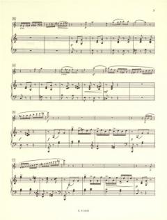 Fantasie C-Dur op. 79 von Gabriel Fauré für Flöte und Klavier im Alle Noten Shop kaufen