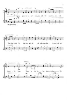 Sweet Babe Lullaby von Bryan Greer (Download) 