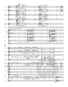 Symphonie Nr. 8 G-Dur op. 88 von Antonín Dvorák 