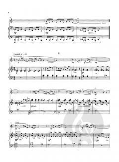 Small Sonata for A Large Flute von Gary Schocker 