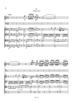 Konzert F-Dur von Joseph Willibald Michl 