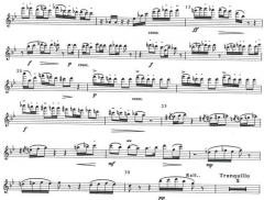 Serenade von Max Reger 