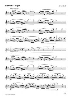 High Performance Flute 