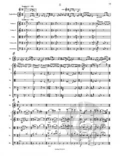 Konzert von Josef Schelb für Englischhorn und Streichorchester im Alle Noten Shop kaufen (Partitur)