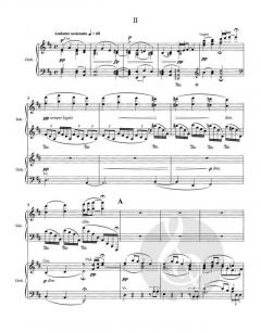 Konzert g-Moll op. 33 B 63 von Robbert van Steijn für Klavier und Orchester im Alle Noten Shop kaufen