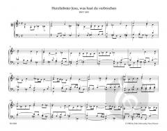 Orgelwerke 9: Orgelchoräle der Neumeister-Sammlung von Johann Sebastian Bach im Alle Noten Shop kaufen