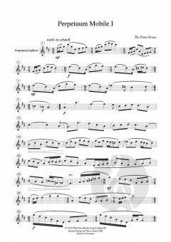 Perpetuum mobile von Thomas Peter-Horas 