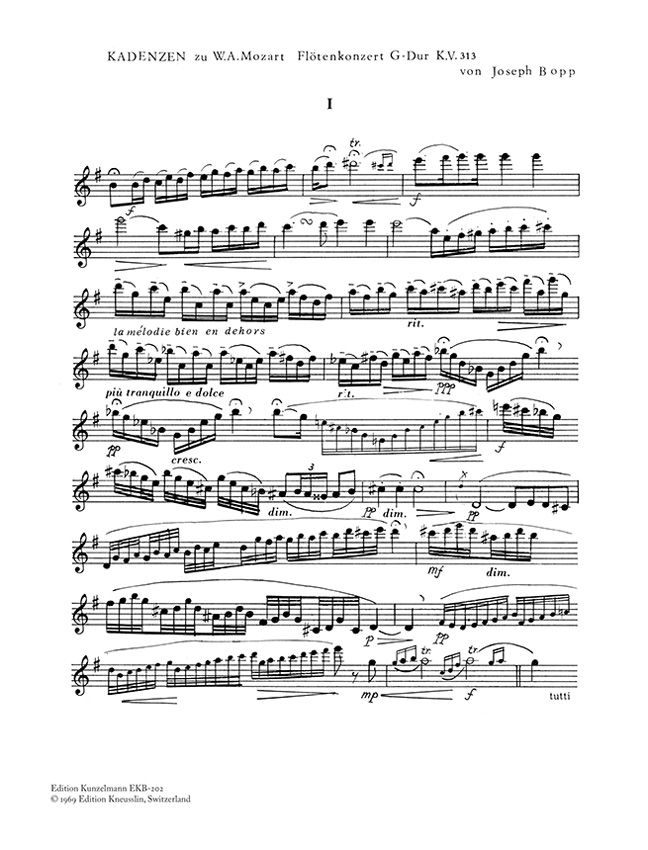 S*a様 Cadenza カデンツァ 45HS Guarneri ハンドメイドミ Art_170666.JPG